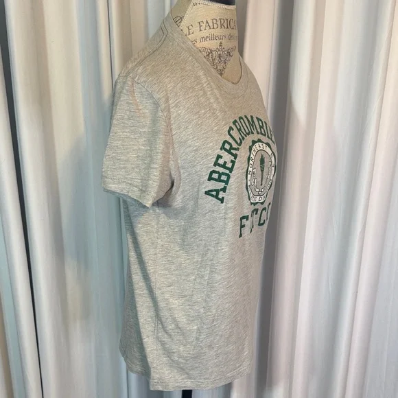 Abercrombie & Fitch Heather Gray Tee with Green Logo - Picture 4 of 9
